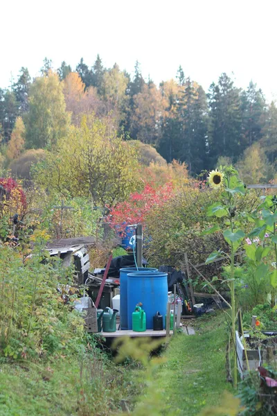Creating a Balanced Ecosystem in Your Sustainable Water GardenIllustration