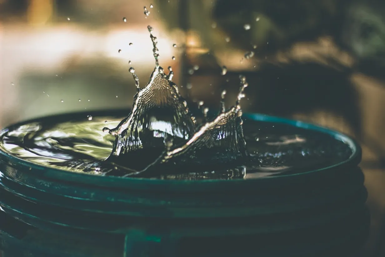 Essential Tips for Implementing Water-Saving Techniques in Your GardenIllustration