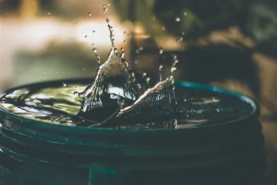 Essential Tips for Implementing Water-Saving Techniques in Your GardenIllustration