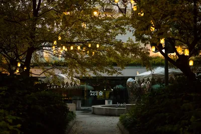 Harnessing Solar Power: An Eco-Friendly Approach to Garden LightingIllustration