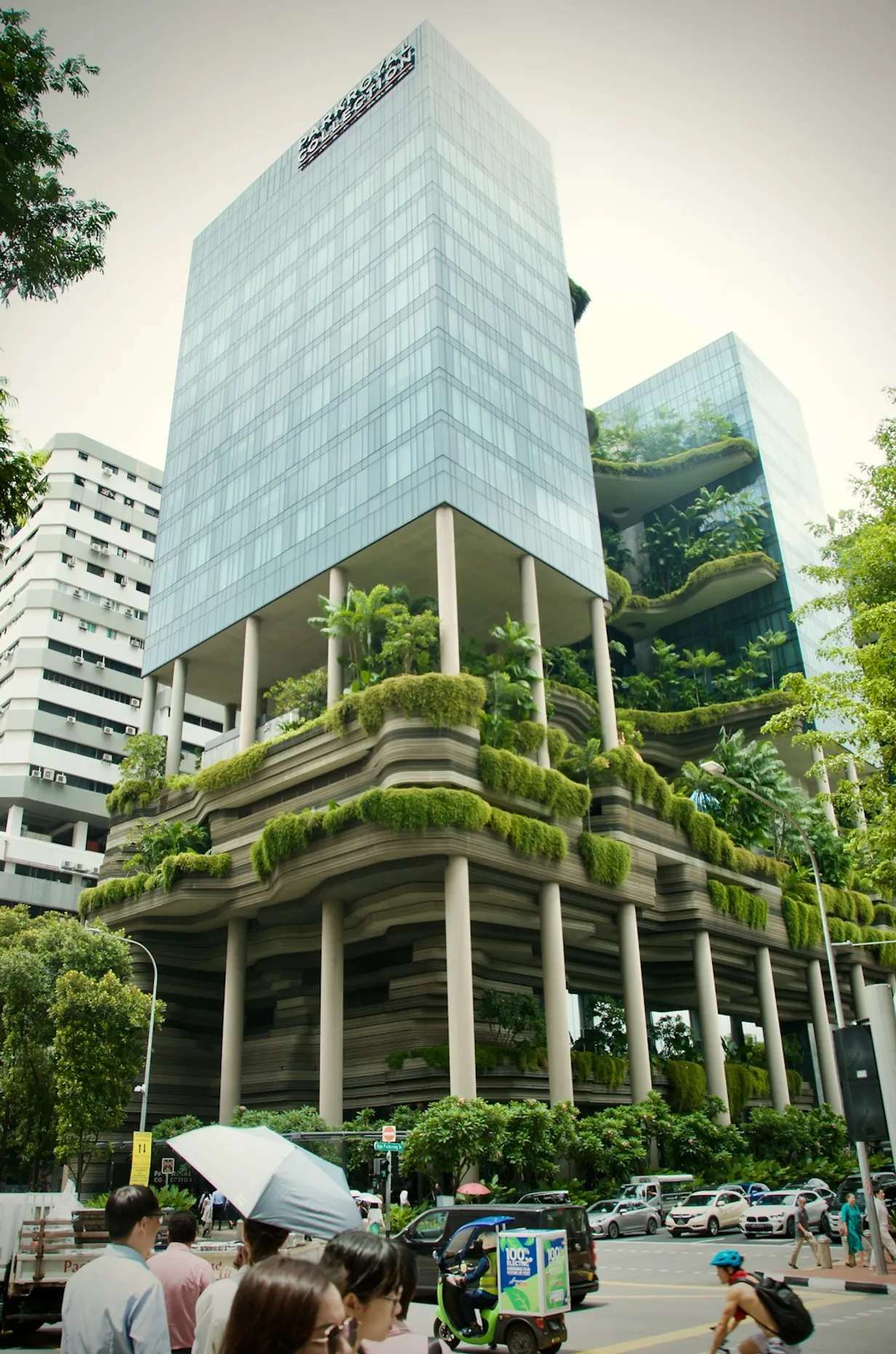 Integrating Vertical Gardens into Your Home SpaceIllustration